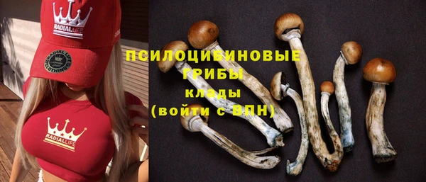 тгк Алзамай