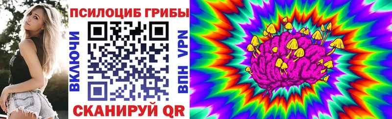 Галлюциногенные грибы GOLDEN TEACHER  закладки  Знаменск 