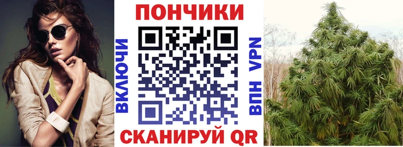 Бошки марихуана конопля Знаменск